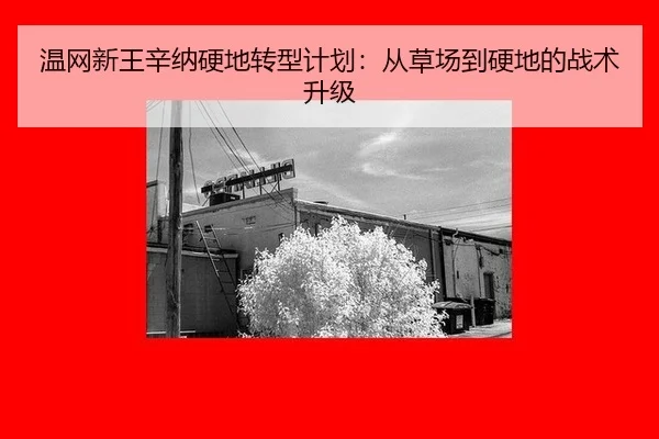 wen-wang-xin-wang-xin-na-ying-di-zhuan-xing-ji-hua-cong-cao-chang-dao-ying-di-de-zhan-shu-sheng-ji-3-271.jpg