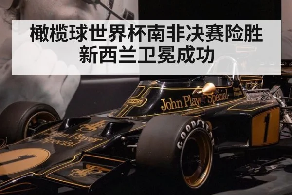 橄榄球世界杯南非决赛险胜新西兰卫冕成功